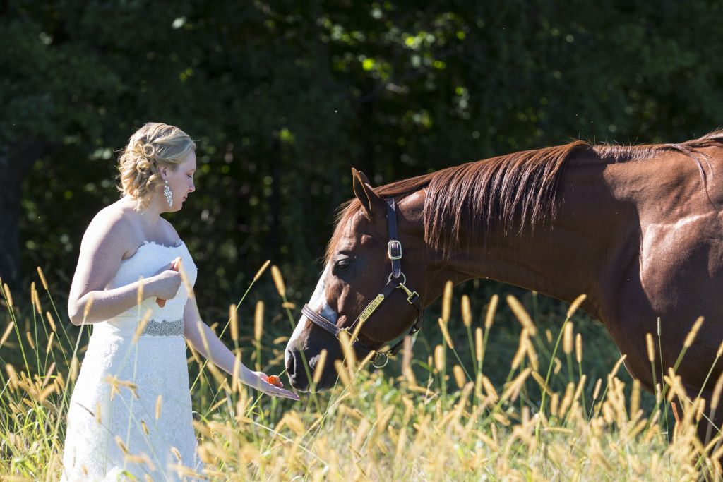 rustic wedding