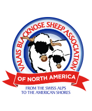 Valais Blacknose Sheep Association