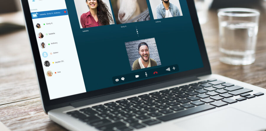 Online Party Animals