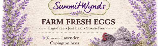 Farm Fresh Eggs from The Farm at Summitwynds